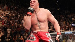 Fighters mma ufc brock lesnar