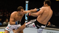 Fighters mma ufc junior dos santos fabricio werdum Dos Santos