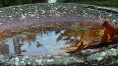 File finally Got cam