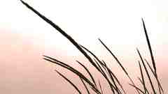 File upload attempt of