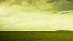 Fill thanks content aware