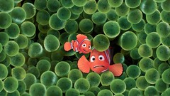 Finding Nemo animation pixar clownfish