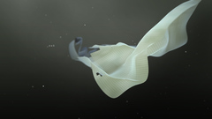 Fine bump awesome This have too