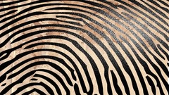 Fingerprints