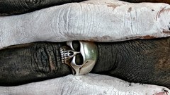 Fingers rings skulls