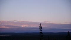 Finland forest landscape nature sky clouds