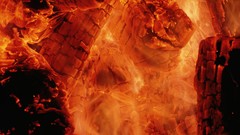 Fire