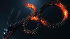 Fire abstract Dragons