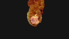 Fire apple inc logos