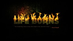 Fire black background