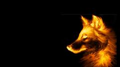 Fire black background Wolves