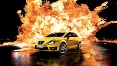 Fire cars Seat Leon