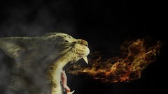 Fire cats smoke daim