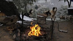 Fire Dogs the elder scrolls v skyrim