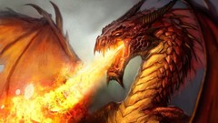 Fire Dragons