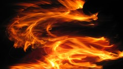 Fire Dragons black background