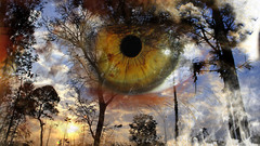 Fire eye fantasy Art