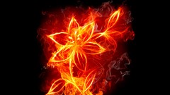 Fire flames fire flower digital art