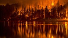 fire forest Lake night nature reflection