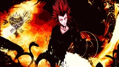 Fire Gamers Axel Kingdom Hearts II