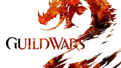 Fire guild wars guild wars 2