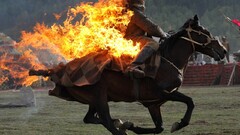 fire horse burning Animals Mammals