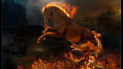 Fire Horses