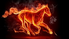 Fire Horses