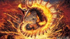 Fire lava drake capcom video games Monster Hunter Agnaktor 