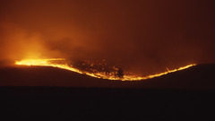 Fire lava forest fire