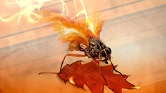 Fire leaves Bug fly