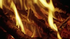 Fire orange explosions flames