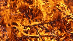 Fire orange explosions flames