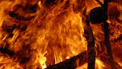 Fire orange Wood flames