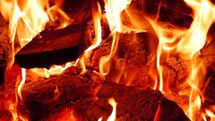 Fire orange Wood flames