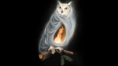 Fire Owls artwork