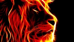 Fire PC Lions