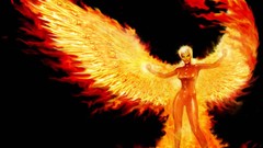 Fire phoenix