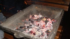 Fire spark spunk glint sparklet