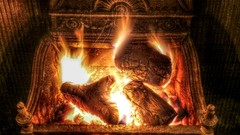 Fire Wood burning fireplaces