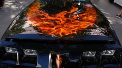 Firebird Pontiac Firebird Trans