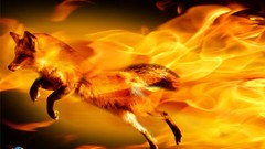 Firefox digital art renders