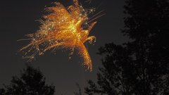 Fireworks bird phoenix Art