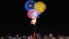 Fireworks multicolor cityscapes