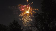 Fireworks strange flower Art