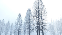 First snow graphic Art