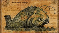 Fish anglerfish Aquarium and