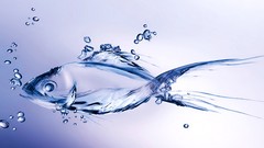 Fish animation digital art