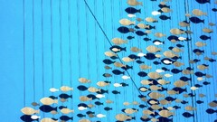 fish artwork blue background cyan cyan background abstract