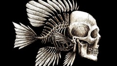 Fish Bones funny skulls artwork Charles Darwin seaman